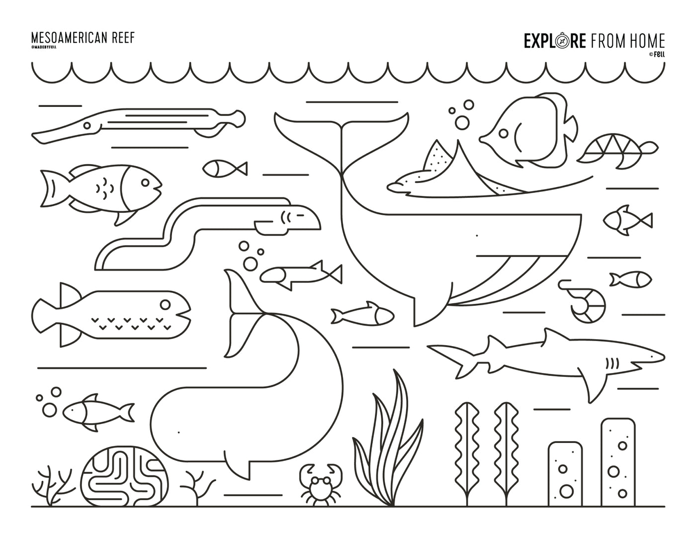 Biomes Coloring Pages