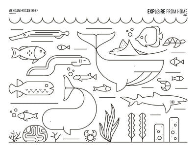 Biomes Coloring Pages