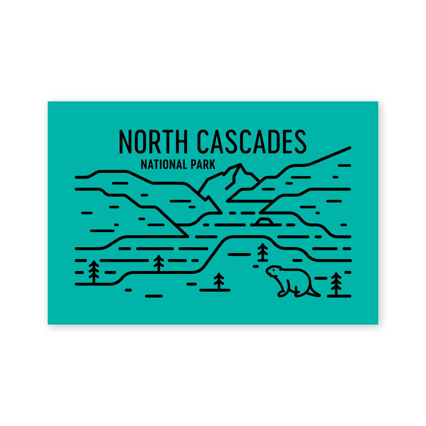 North Cascades National Park Postcard