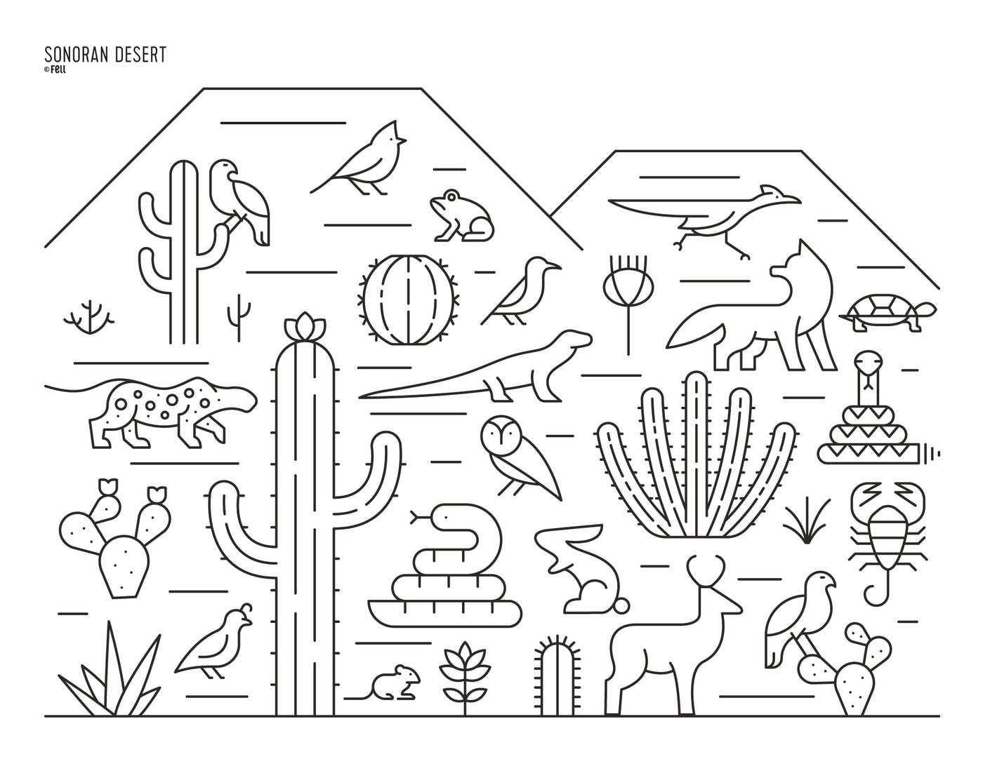 Biomes Coloring Pages